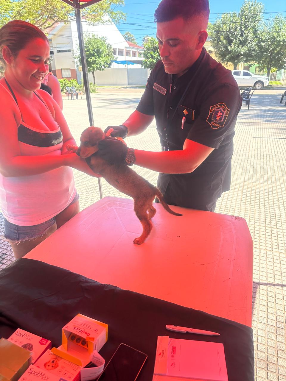 Realizaron una jornada canina solidaria con atención gratuita para mascotas